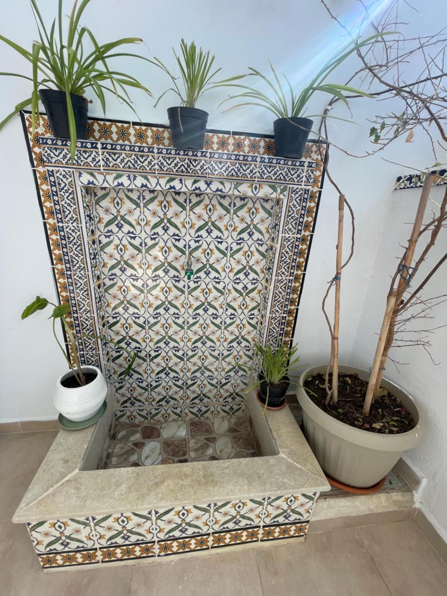 Balkis La Rene De Saba سيدي بو سعيد
